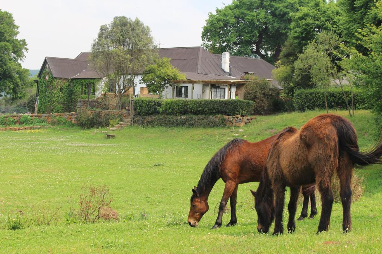 Newstead Farm - Country Cottages Curryʼs Post Εξωτερικό φωτογραφία