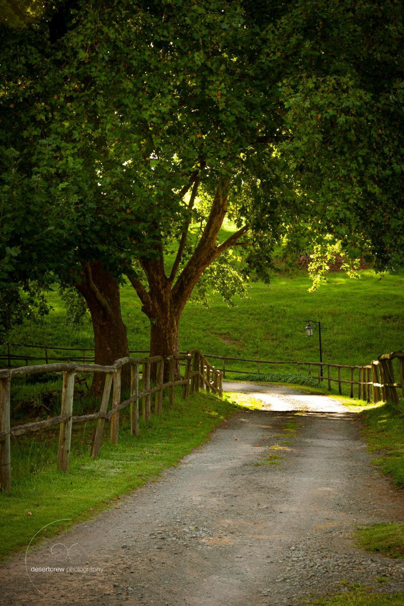 Newstead Farm - Country Cottages Curryʼs Post Εξωτερικό φωτογραφία