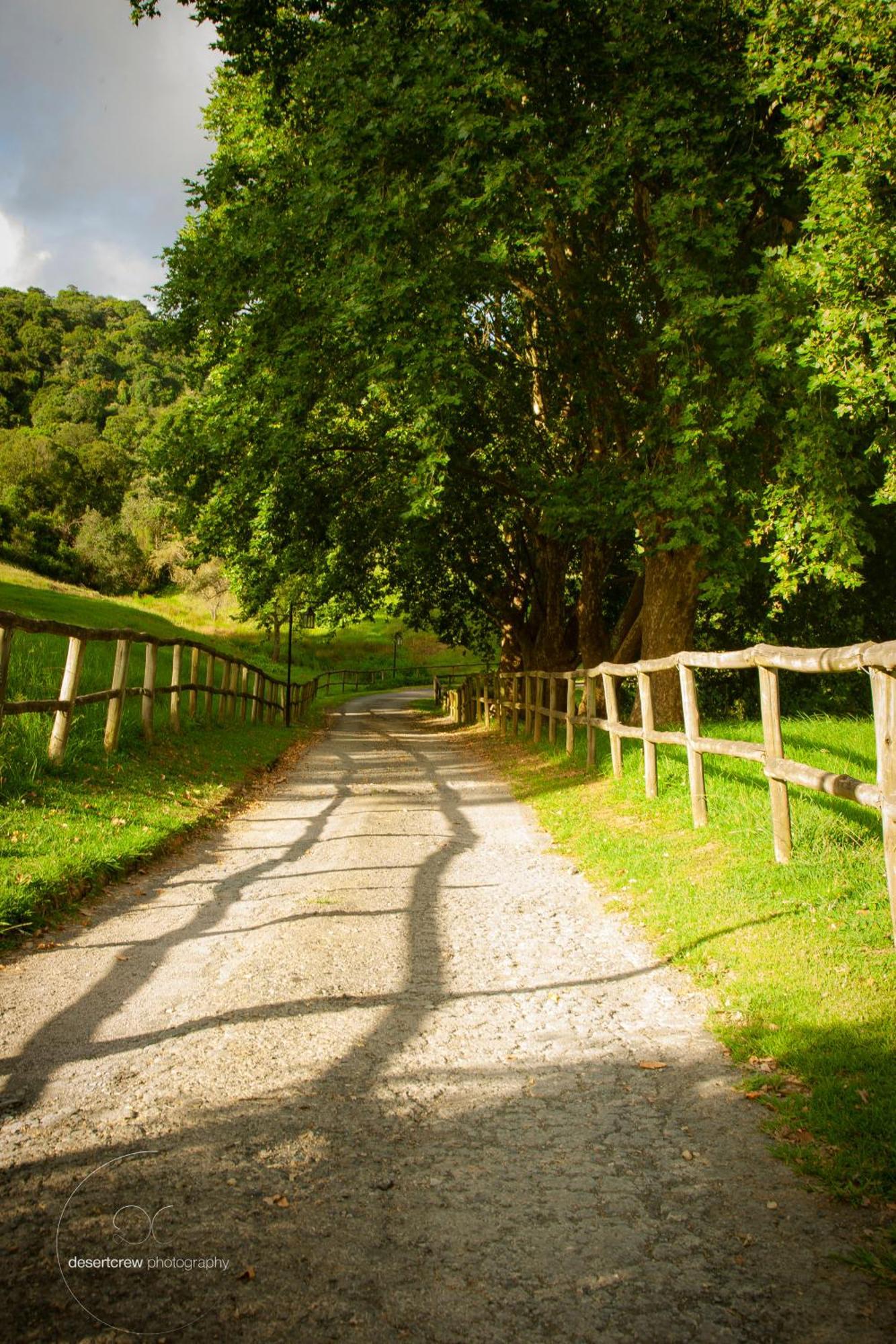 Newstead Farm - Country Cottages Curryʼs Post Εξωτερικό φωτογραφία