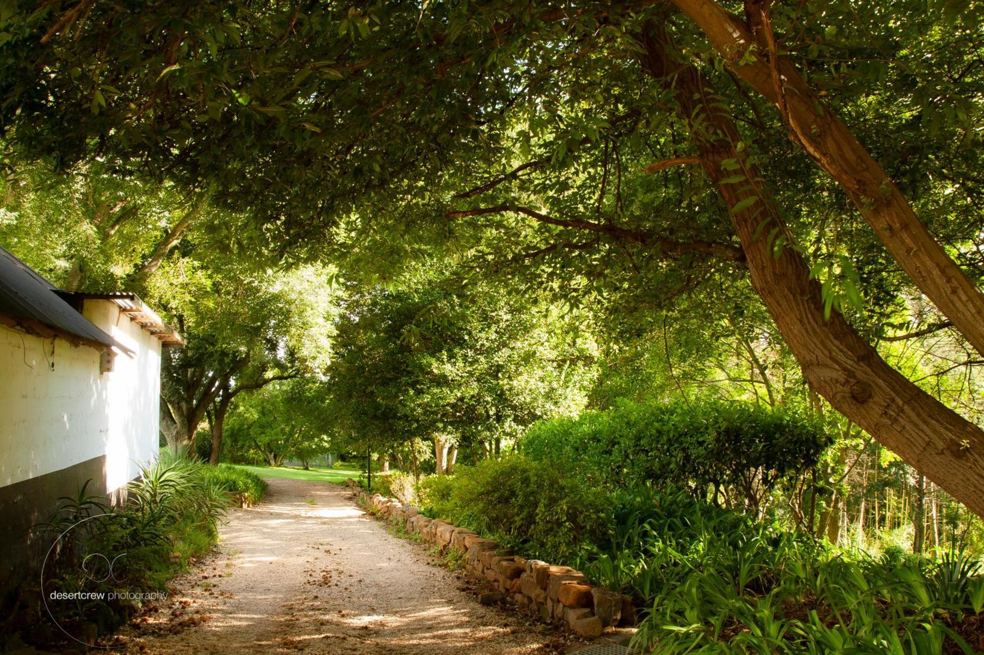 Newstead Farm - Country Cottages Curryʼs Post Εξωτερικό φωτογραφία