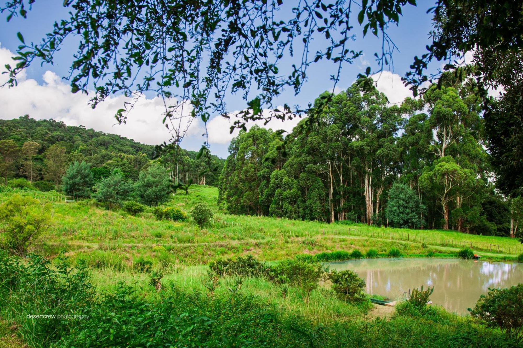 Newstead Farm - Country Cottages Curryʼs Post Εξωτερικό φωτογραφία