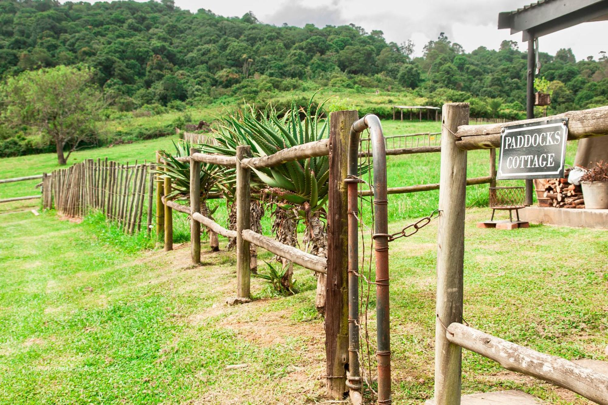 Newstead Farm - Country Cottages Curryʼs Post Εξωτερικό φωτογραφία