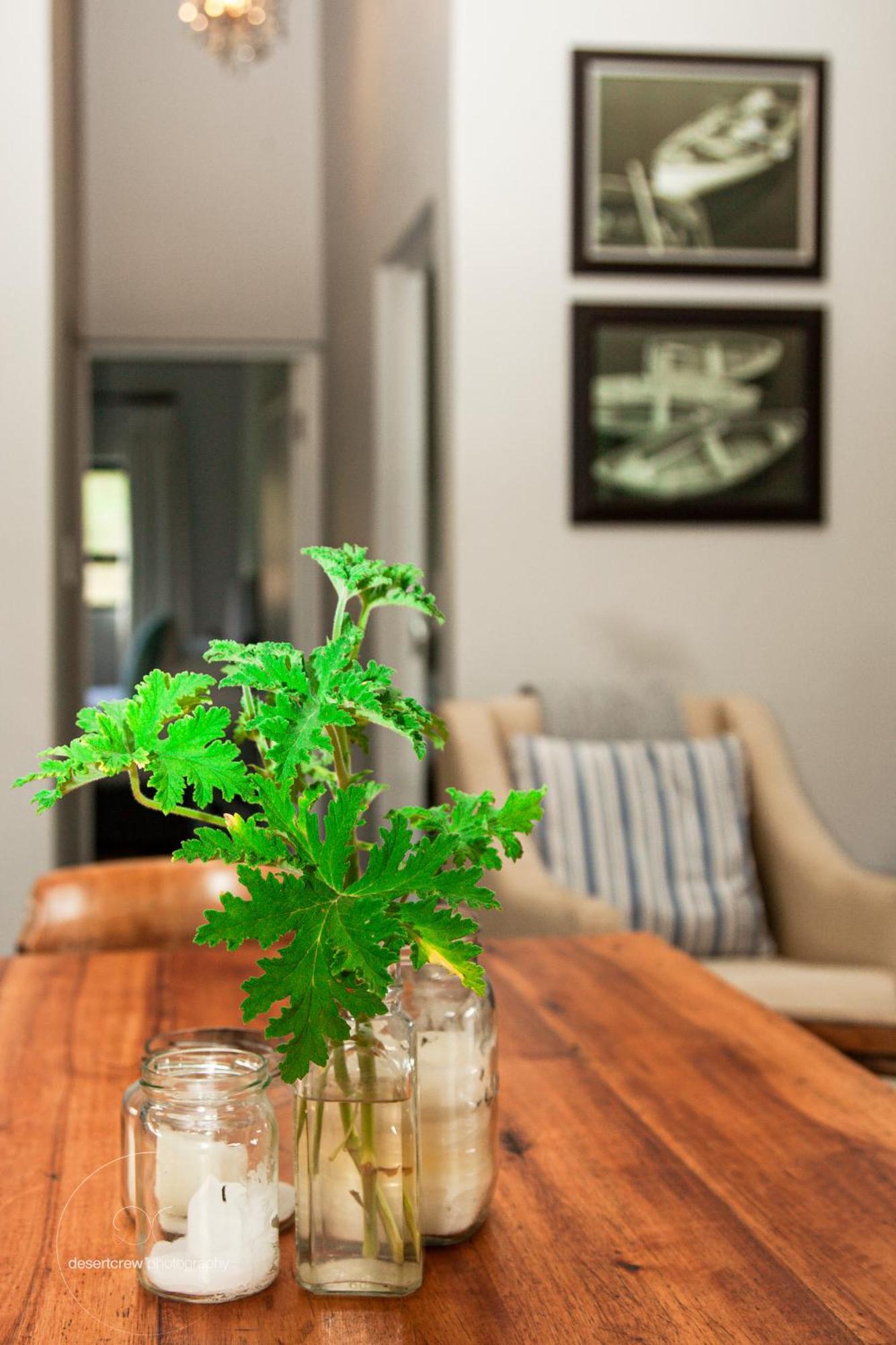 Newstead Farm - Country Cottages Curryʼs Post Εξωτερικό φωτογραφία