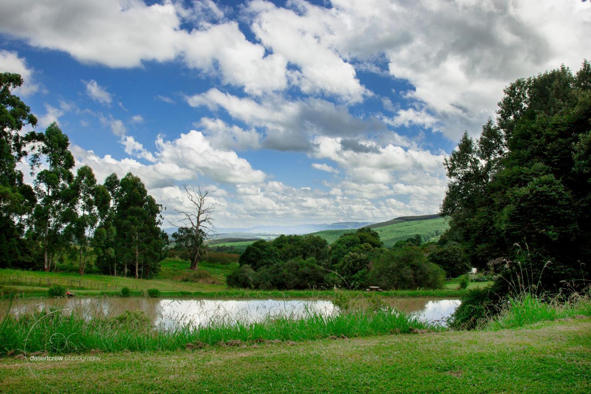 Newstead Farm - Country Cottages Curryʼs Post Εξωτερικό φωτογραφία